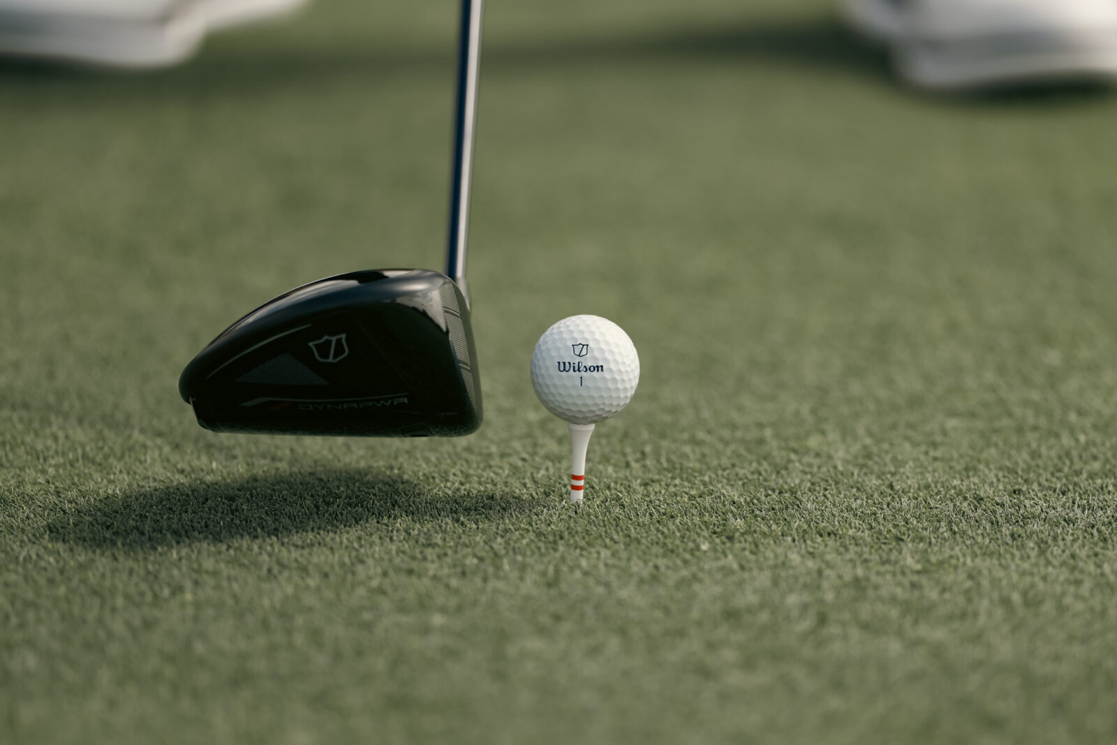 Wilson Staff Model at address